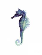 blue-seahorse-joanna-szmerdt